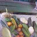 ���� ��������, ������ - ��������� 12 ������� 2014 � ������ ������ ��������