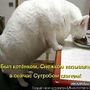���� ������, ������ - ��������� 2 ���� 2014 � ������ ������ ��������