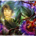 ���� ����, ���������, 76 ��� - ��������� 30 ����� 2014 � ������ ���� ����������