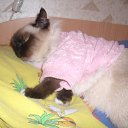 ���� ����, �������-���������, 62 ���� - ��������� 29 ��� 2014 � ������ ���� ����������