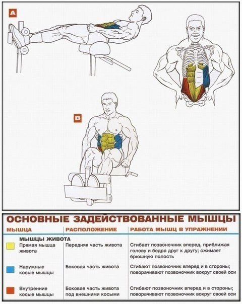 Качать пресс в домашних условиях на стуле