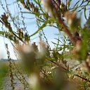 ���� �����, ������� - ��������� 18 ������� 2014 � ������ �17.08.2014�.�