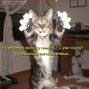 ���� ���� �-238, ������ - ��������� 2 ������� 2014 � ������ ������ ��������