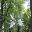 ���� Ludmila Oranicheva�, �����-���������, 75 ��� - ��������� 11 ���� 2014 � ������ ����� 2014�