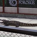  , , 44  -  11  2014    2014