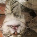 ���� ����, �������, 43 ���� - ��������� 15 ��� 2014 � ������ ������ ��������