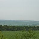  , , 49  -  5  2014      5 