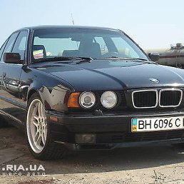 ��������, ������, 50 ���