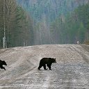 ���� �����, ������, 54 ���� - ��������� 1 ���� 2014 � ������ ���� ����������