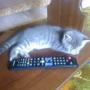 ���� ���������, ������, 60 ��� - ��������� 18 ���� 2014