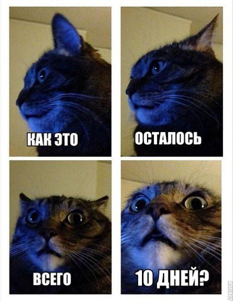    :D - 21  2014  06:07