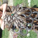 ���� �����, �����, 24 ���� - ��������� 31 ���� 2014 � ������ ���� ����������