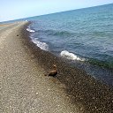  Stanislav, , 66  -  22  2014    