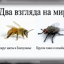 ���� �����, ������, 41 ��� - ��������� 11 ��� 2014 � ������ ������ ��������
