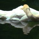 ���� ����������, ������� ��������, 63 ���� - ��������� 7 ���� 2014 � ������ �� ���� ���������