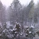���� �����, ������, 56 ��� - ��������� 28 ����� 2014 � ������ ������ ��������