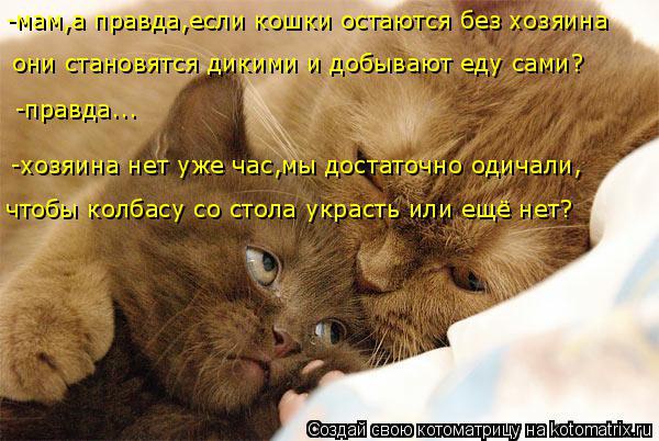 /zev/null - 15  2014  12:51
