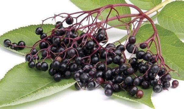 ��������� �� ����? ��� ��� �� ������� ������, �� ���� ������� ������ � ���� ���������� ����� ��� � ...