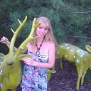 ���� �������, ����, 44 ���� - ��������� 14 ���� 2014 � ������ ���� ����������