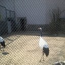 ���� ����������, ������� �����, 30 ��� - ��������� 27 ������ 2014 � ������ ������ ��������