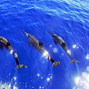 ���� Natsu, ������ - ��������� 12 ������ 2014 � ������ ������ ��������