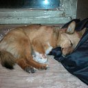 ���� �������, ����������, 62 ���� - ��������� 25 ������ 2014 � ������ ������ �� �������.�