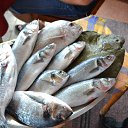 ���� �������, �����-���������, 52 ���� - ��������� 26 ���� 2014 � ������ �������, ��� � ������ ������ �������)))�