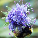 ������ 2014 �� ������� �"...�� ������ ������..."�