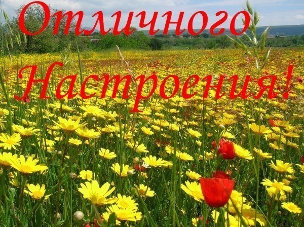Я этот день люблю за то, что жить мне в нём разрешено. За то, что утро так красиво, за солнце, что ...