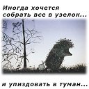 ���� ������, �����-��������� - ��������� 8 ������� 2014 � ������ ������� �����