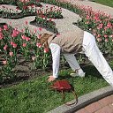 ���� ������, ������, 62 ���� - ��������� 15 ���� 2014 � ������ ���� ����������