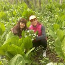 ���� ��������, ����-���������, 62 ���� - ��������� 16 ���� 2014 � ������ ���� ����������