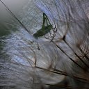  Ww, --, 75  -  15  2014   