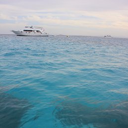 Olga, �����-���������