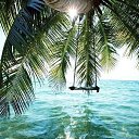 ���� �����, ������ - ��������� 25 ���� 2014 � ������ ������ ��������