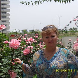 ���� ������, ��������, 61 ��� - ��������� 28 ������ 2014