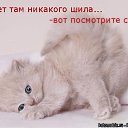  Marina,  -  14  2014    