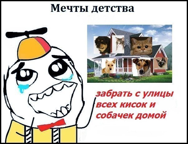  ,  )