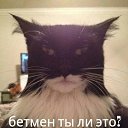 ���� Leks, ������-��-����, 40 ��� - ��������� 14 ������ 2014 � ������ ������ ��������