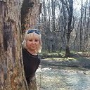 ���� �����, ������������, 49 ��� - ��������� 13 ������ 2014 � ������ ���� ����������