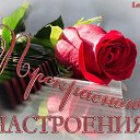 ���� ���� ����!, �������, 52 ���� - ��������� 21 ����� 2014 � ������ ������ ��������