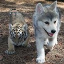 ���� ����! ���, ������������, 52 ���� - ��������� 3 ��� 2014 � ������ ������ ��������