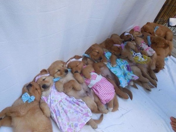 =))) Ми-ми-ми.Подписывайтесь и живите с УЛЫБКОЙ! =))) fotostrana.ru/public/233738/