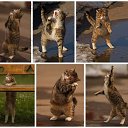 ���� ��� ��� ������� � �����, ����� ������-������ �������� ���������, �������, ������ ������������� ����. �������� ������ �� ��� ������ ���� ����� ���������, ������� �� ������� �� ������ ����, �� �����������, �� ����� ��� � �����. ������, ��� (��� ��� ���� �����?) ����� �� ��������� ������ � ������ ������. �� ������� ���� ����������