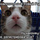 ���� �������, ������, 51 ��� - ��������� 27 ���� 2014 � ������ ������ ��������