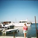 �������. ����� 2013 �. �� ������� ���� ����������