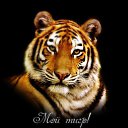 ���� �������, ����� - ��������� 22 ����� 2014 � ������ ���� ����������