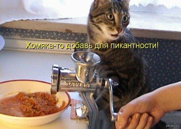  ( ) - 18  2014  16:51