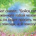 ���� �������, �������, 51 ��� - ��������� 15 ���� 2014 � ������ ������ ��������