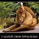 ��� �����))))) �� ������� ���� ����������